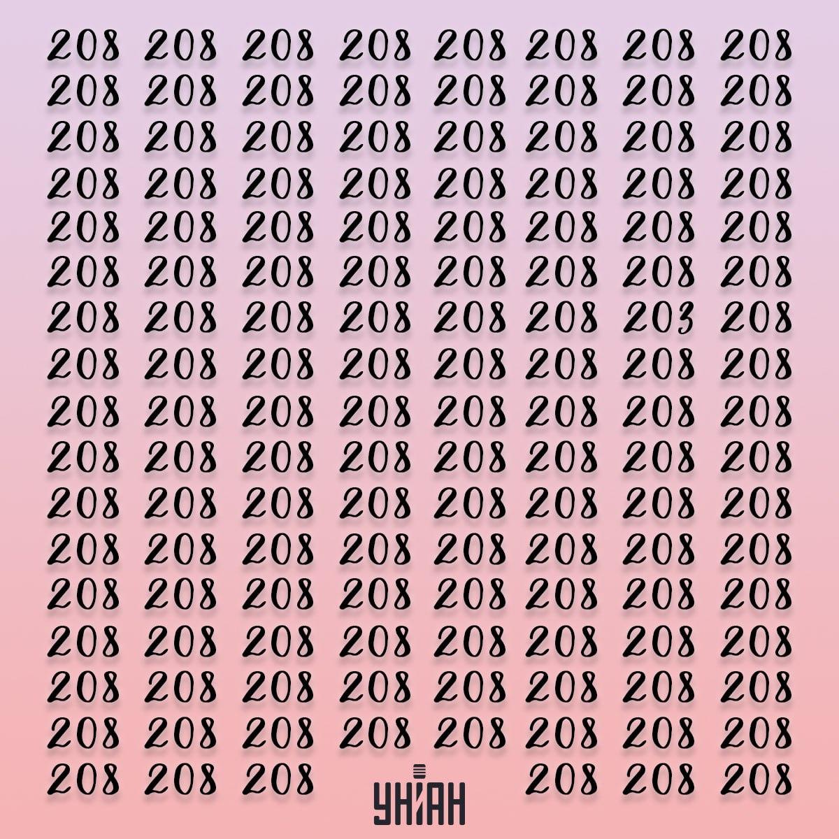 Iluzija s brojevima 208