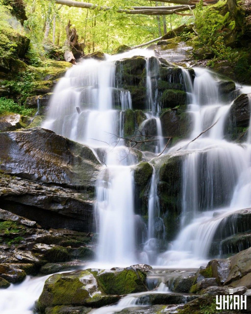 Moramo pronaći vjevericu na lukav puzzle / kolaž Moje