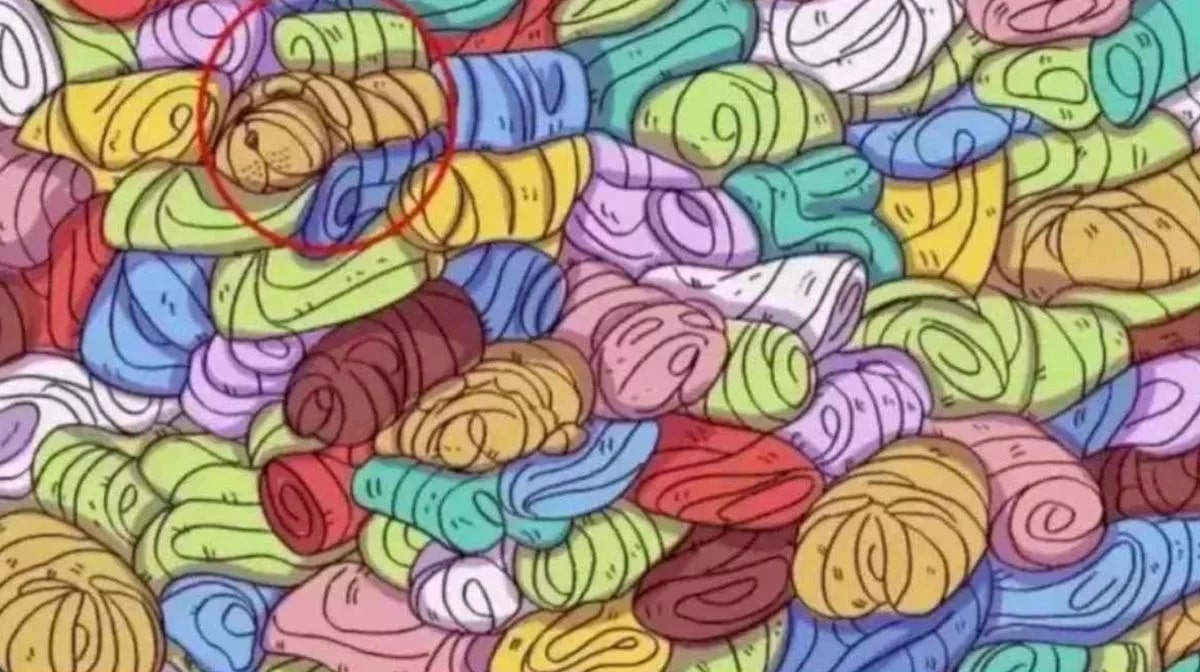 Točan odgovor na zagonetku 