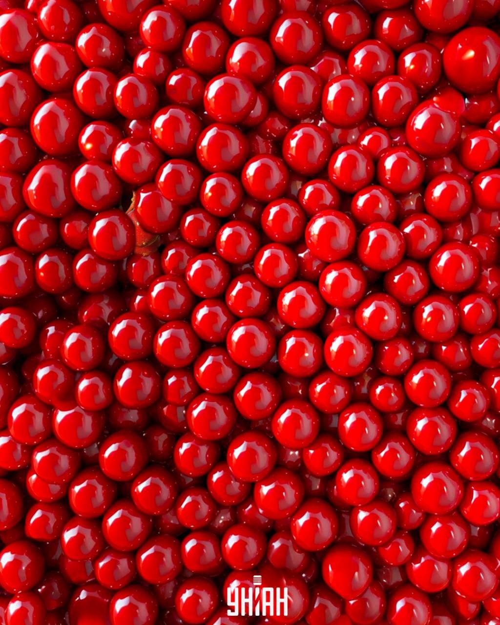 Među crvenim kuglicama nalaze se bobice viburnuma i morate ih brzo pronaći / Moje kolaž