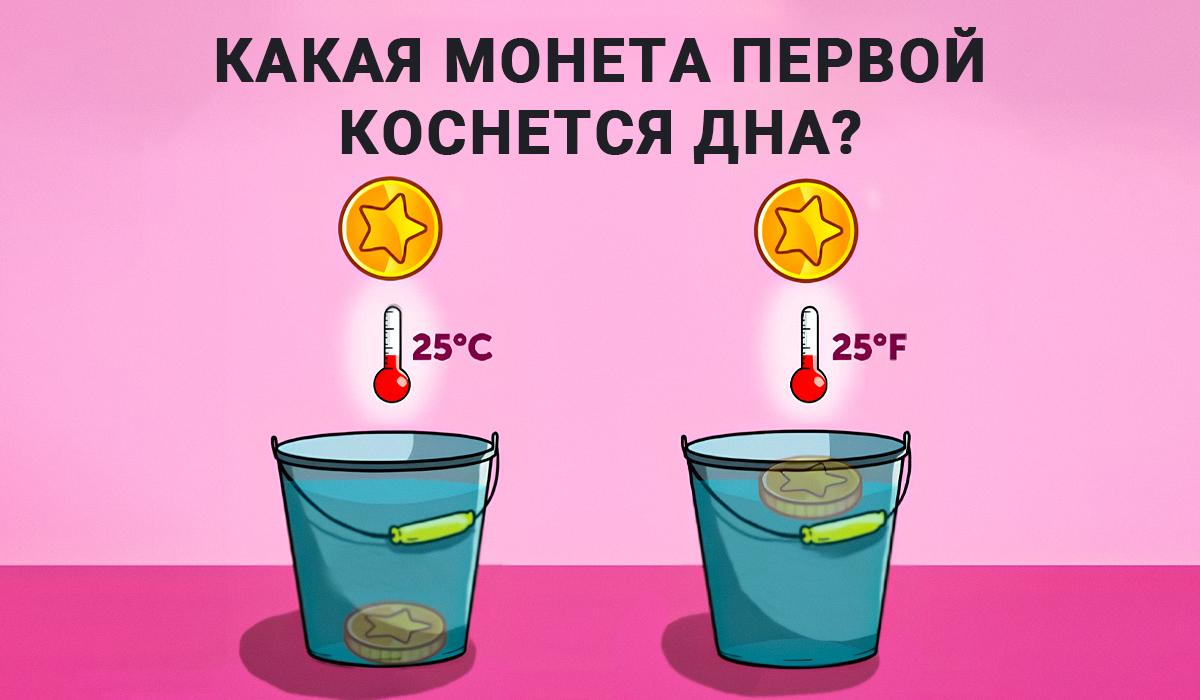 Odgovor na IQ test / Moje kolaž