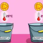 Koji će novčić prvi dotaknuti dno: teška zagonetka za najpažljivije