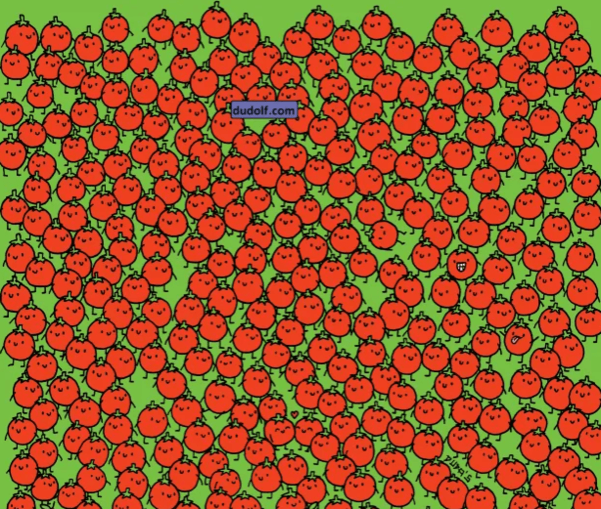 Pokušajte pronaći jabuke što je brže moguće / foto thedudolf.blogspot.com Pokušajte pronaći jabuke što je brže moguće / foto thedudolf.blogspot.com