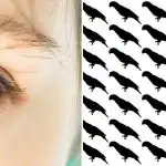 Samo 5% ljudi će pronaći papigu u ovoj optičkoj iluziji