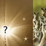 Svi vide klokana, ali ti moraš pronaći zeca u 6 sekundi: podmukla zagonetka Svi vide klokana, ali ti moraš pronaći zeca u 6