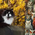 Trebate pronaći podmuklu mačku među sovama u 6 sekundi: fantastična zagonetka Trebate pronaći podmuklu mačku među sovama u 6 sekundi: fantastična