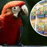 Zabavna iluzija za genijalce: samo rijetki mogu pronaći papigu u