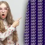 Zagonetka za prave detektive: morate pronaći broj 337 u moru